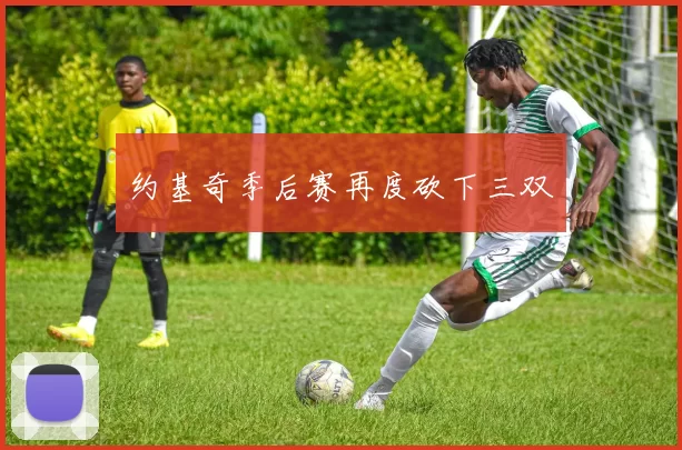 约基奇季后赛再度砍下三双