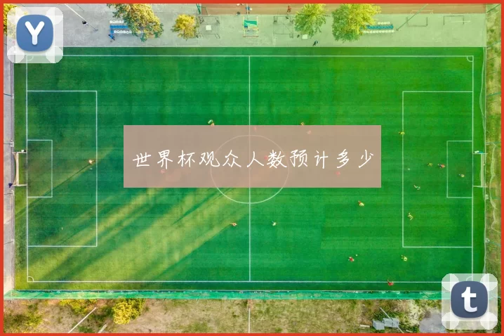 世界杯观众人数预计多少